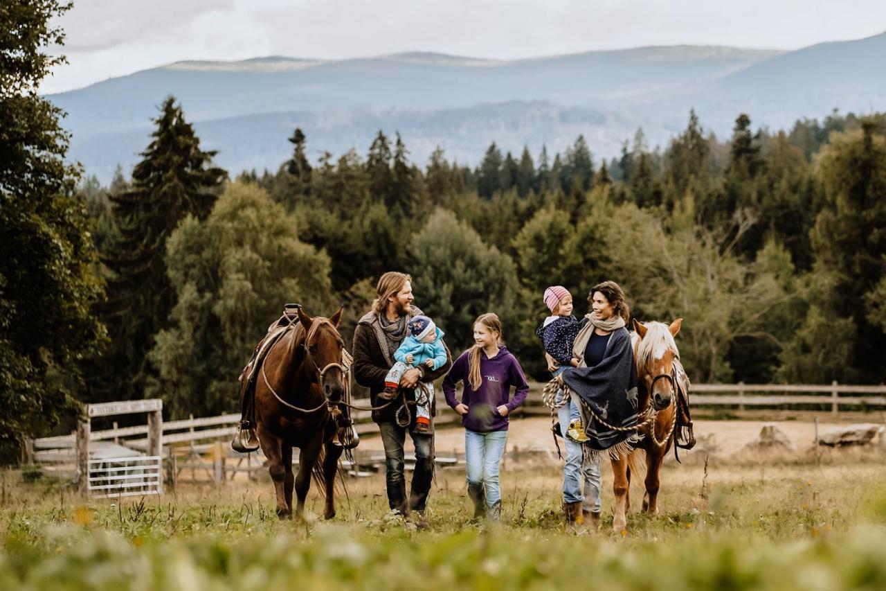 Landhotel Zum Matthiasl Bischofsreut エクステリア 写真