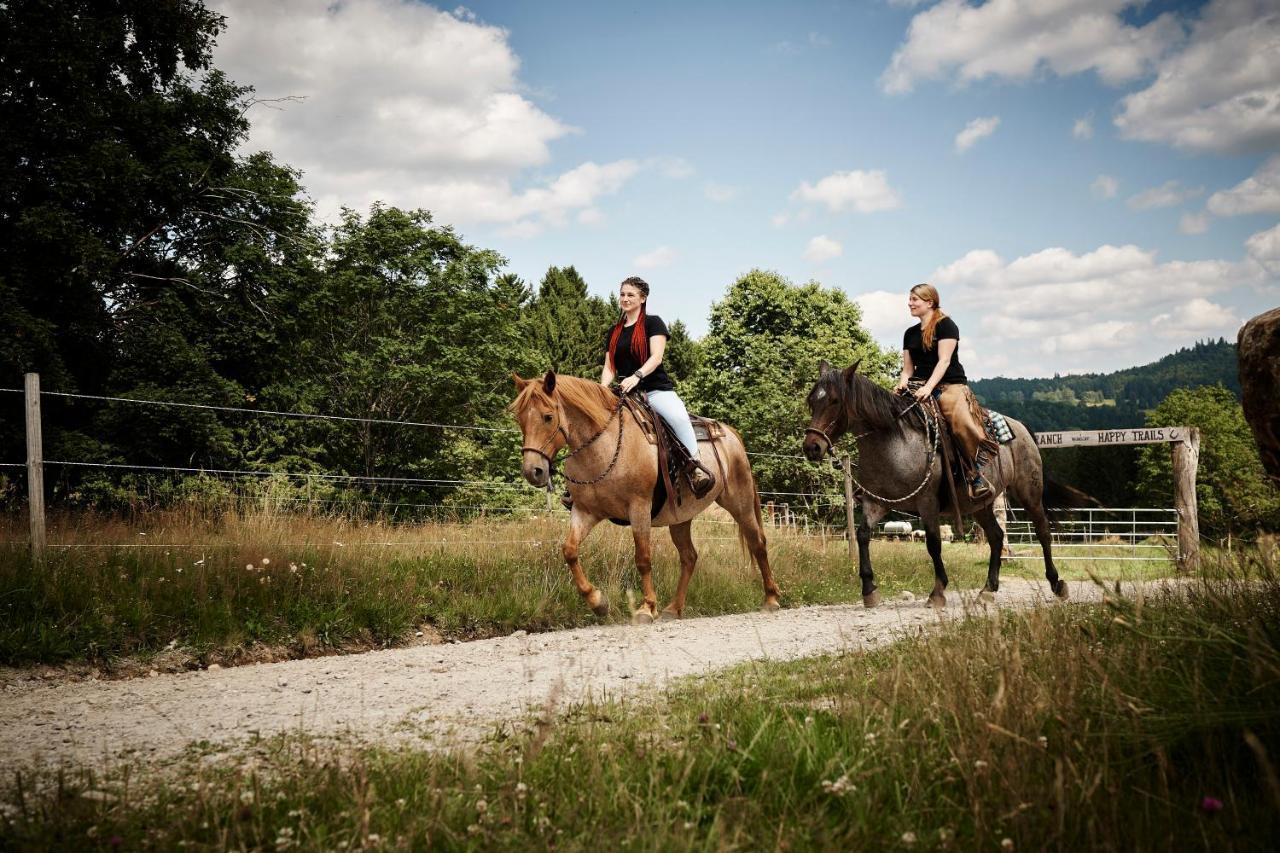 Landhotel Zum Matthiasl Bischofsreut エクステリア 写真