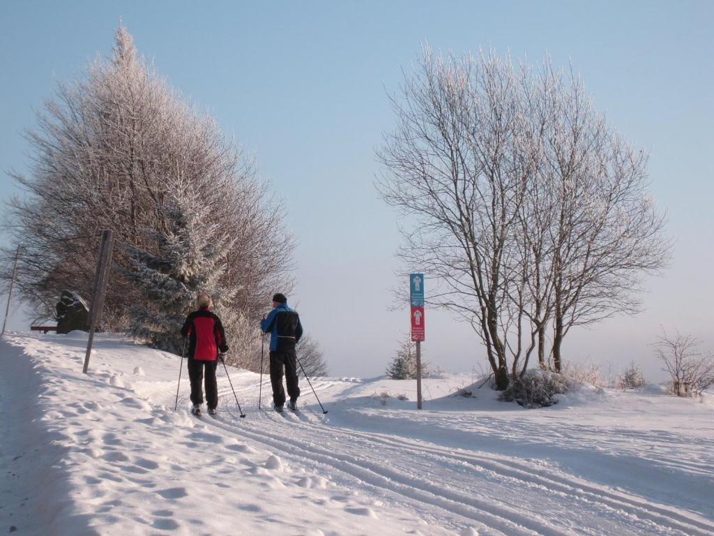 Landhotel Zum Matthiasl Bischofsreut エクステリア 写真